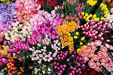 《穿越火线X》科隆游戏预告片 年底正式发售